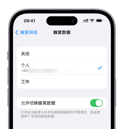 黄冈苹果维修服务分享如何在iPhone上使用双卡 